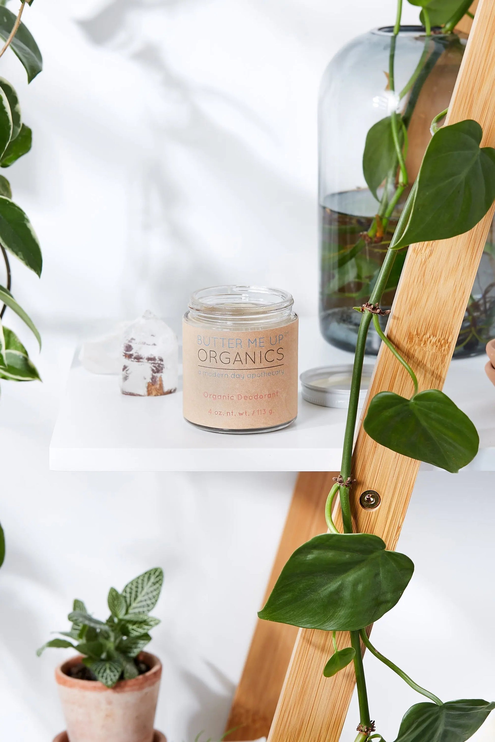 Organic deodorant jar on white shelf surrounded by green plants in natural light