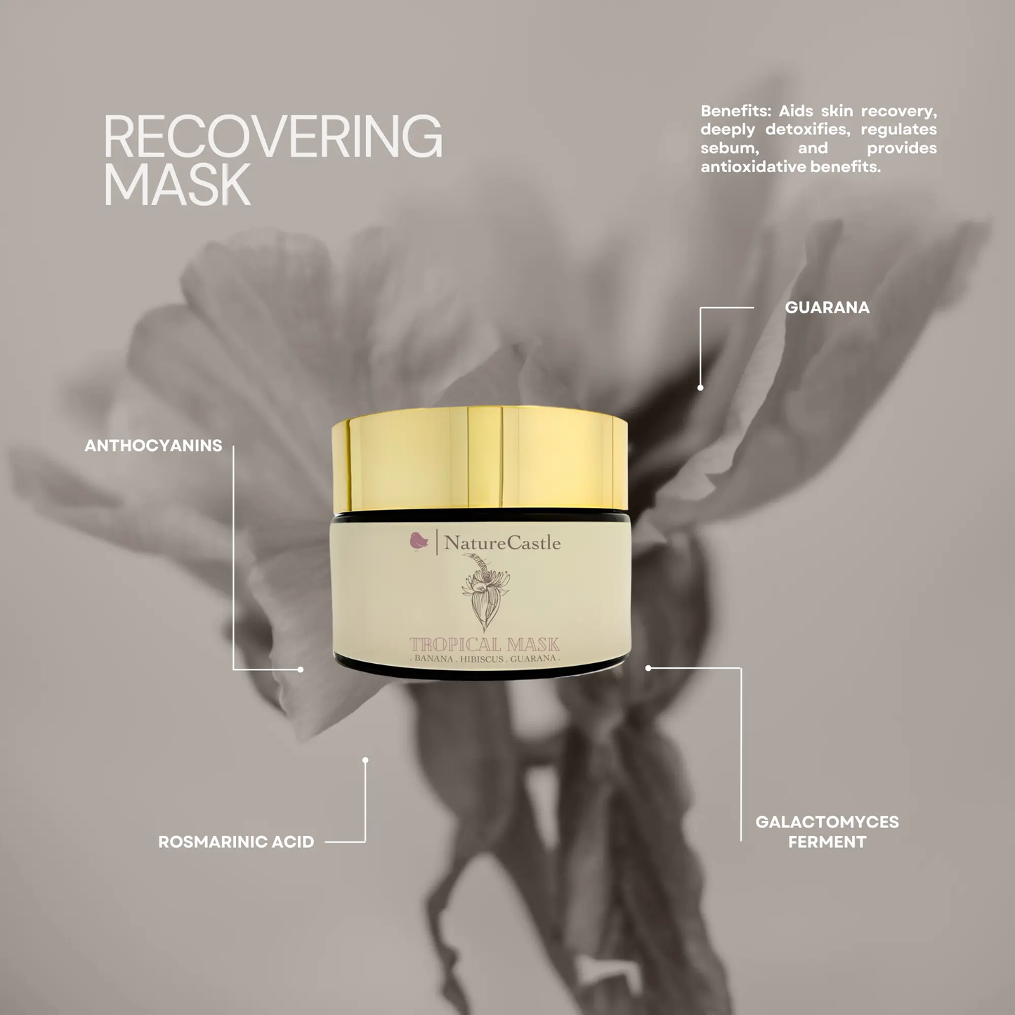 Recovering Mask Teal Windroot