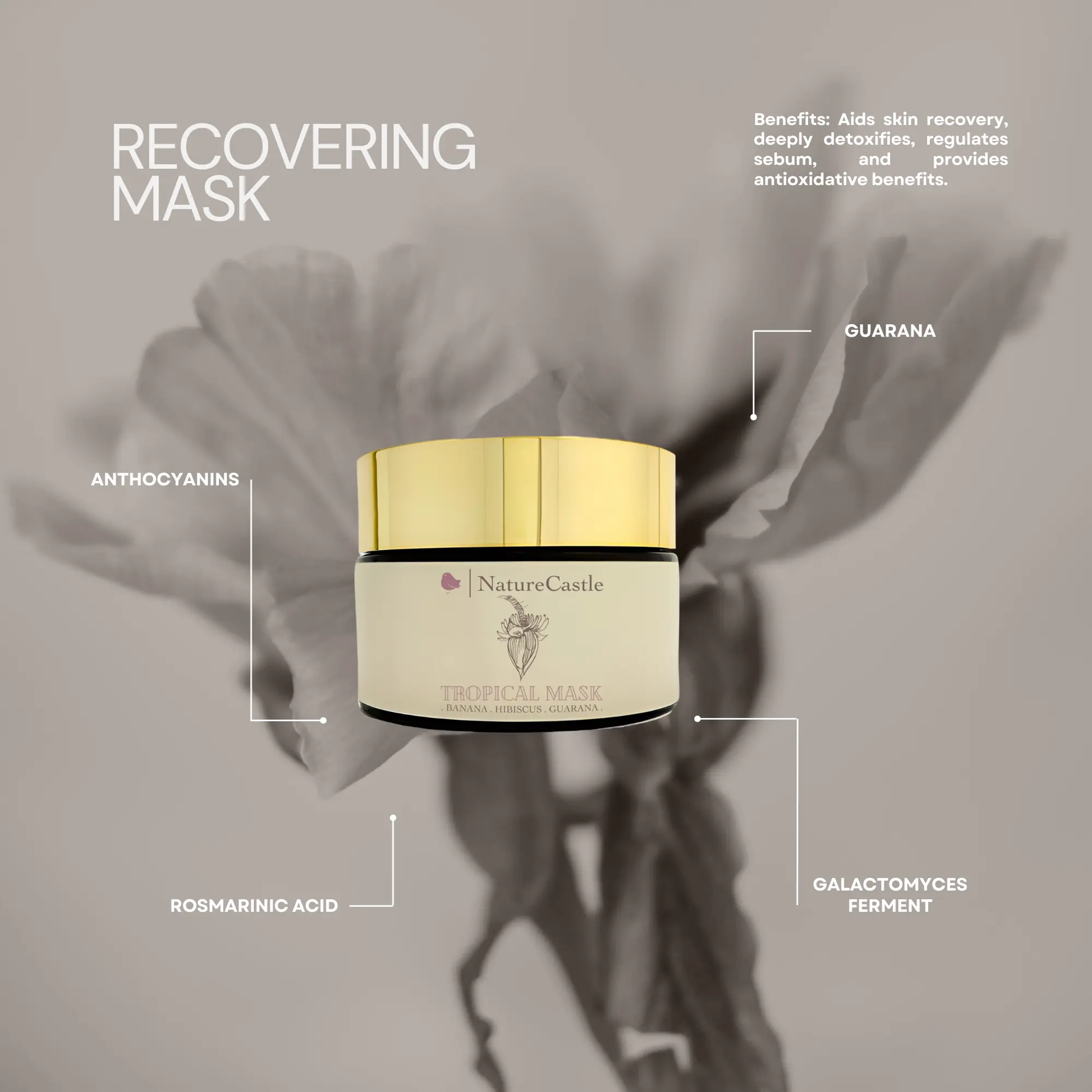 Recovering Mask Teal Windroot