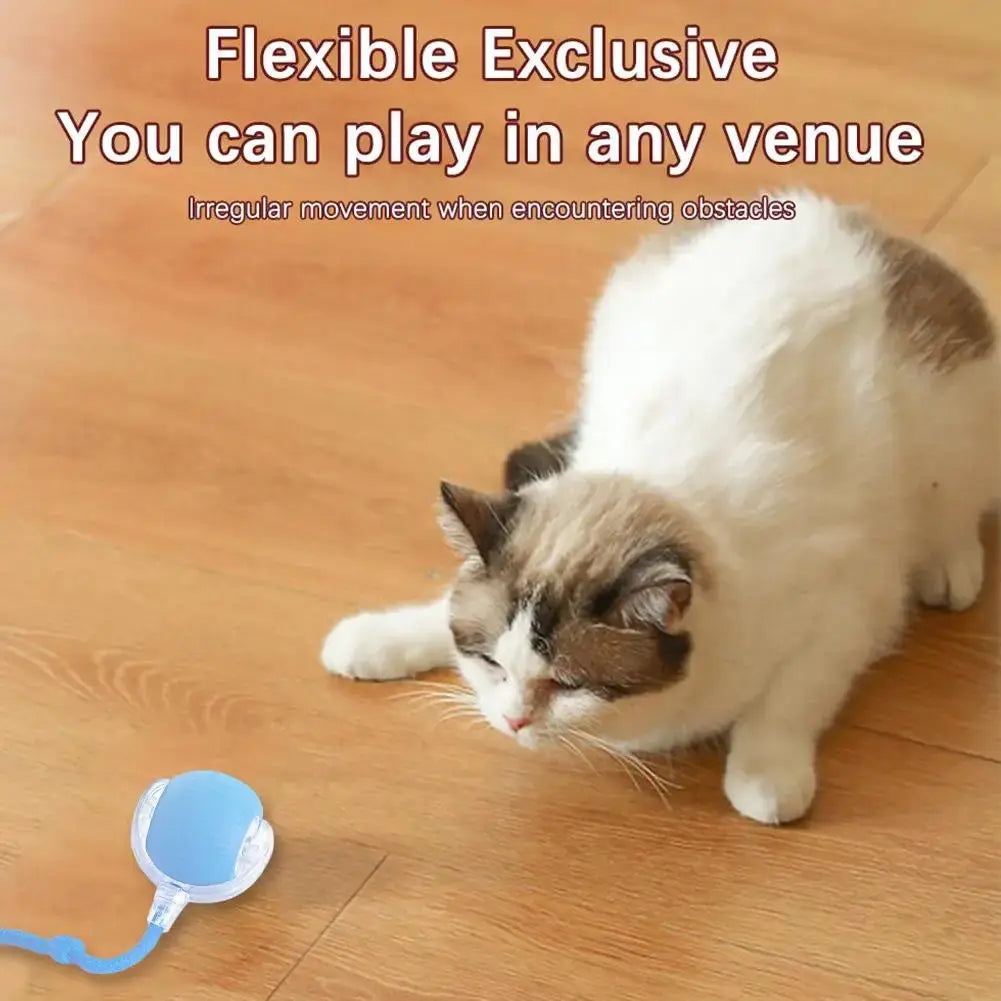 Electric Cat Ball Toys Automatic Rolling Ball Faux Tail Rechargeable AliExpress