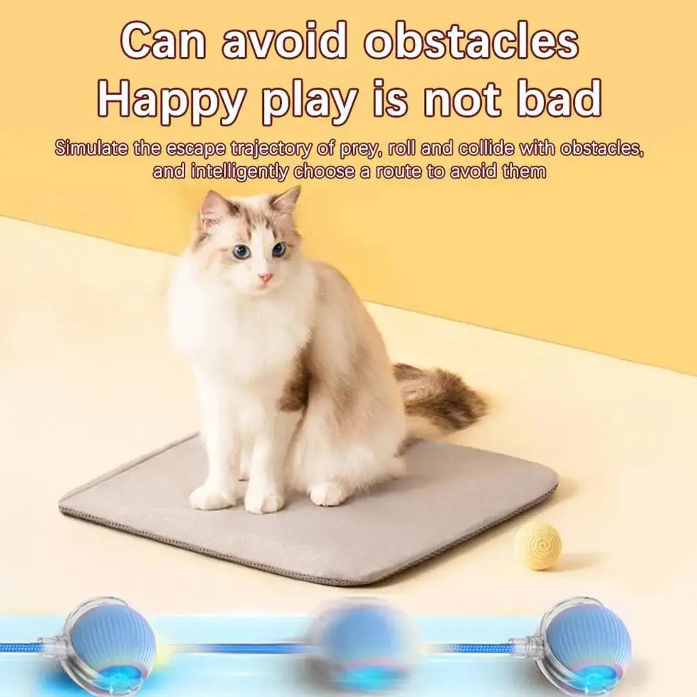 Electric Cat Ball Toys Automatic Rolling Ball Faux Tail Rechargeable AliExpress
