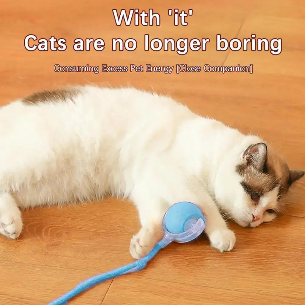 Electric Cat Ball Toys Automatic Rolling Ball Faux Tail Rechargeable AliExpress