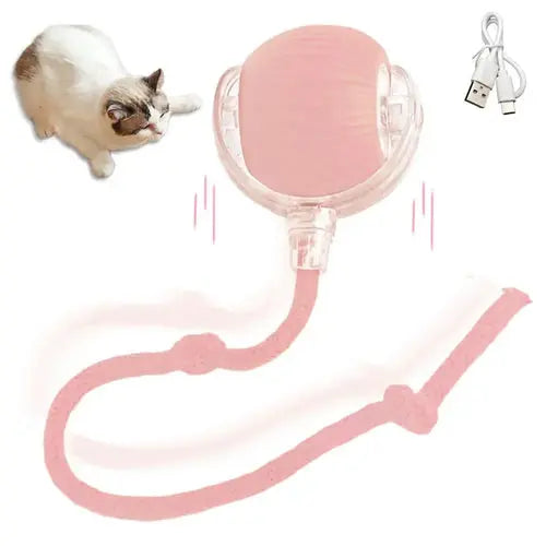 Electric Cat Ball Toys Automatic Rolling Ball Faux Tail Rechargeable AliExpress