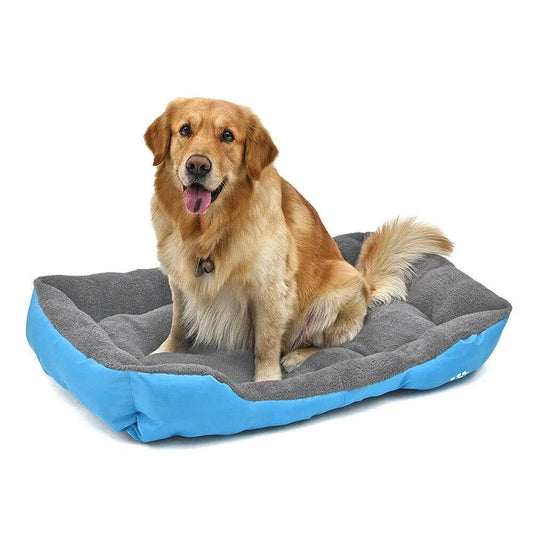 Cozypet Washable Plush Pet Bed: The Ultimate Snuggle Spot For Your White Diomedes