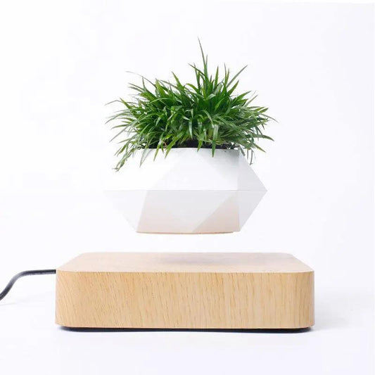 Magnetic levitating rotation flowerpot floating above wooden base with green plant