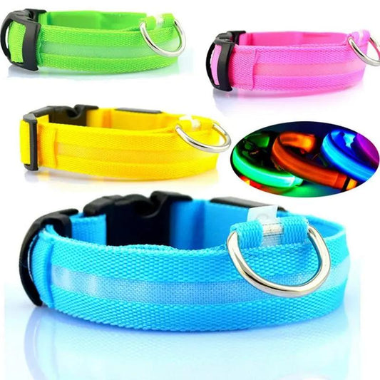 USB RECHARGEABLE LED PET DOG COLLAR Teal Zeus