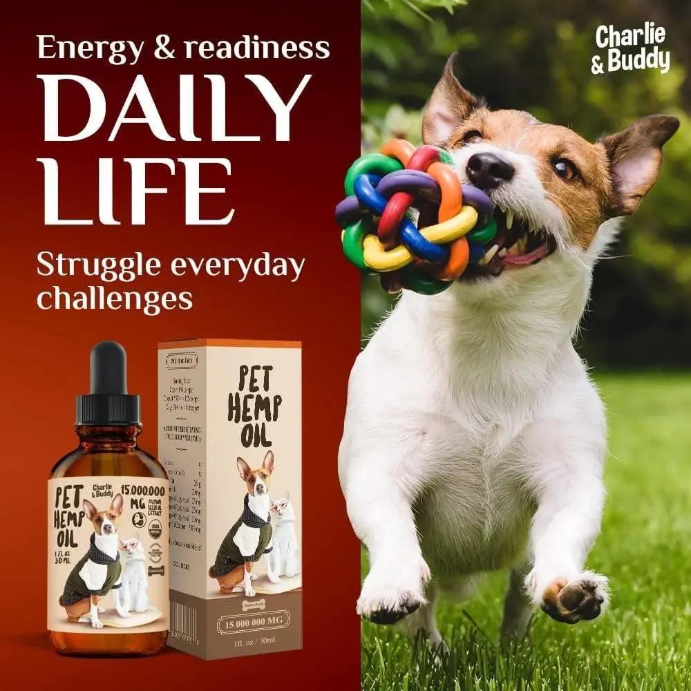 Charlie Buddy   H–µmp Oil for Dogs Cats   Hi—Ä and J–æint Supp–ært and Periwinkle Eros