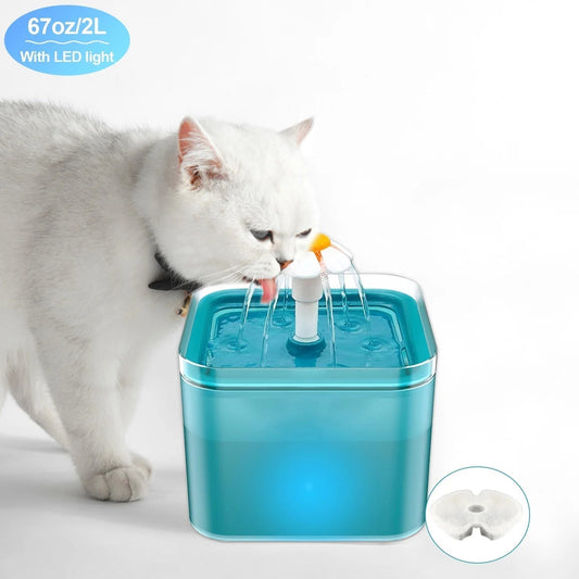 Cat drinking from 2L automatic water fountain with LED light and 4-stage filtration system