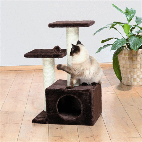 Valencia Cat Tree, Brown Rose Chloe