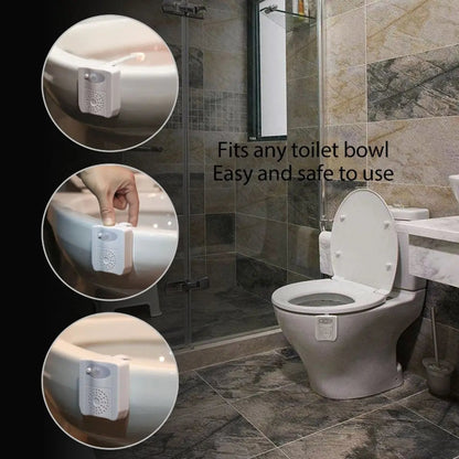 CLEAN BOWL UV Sanitizing Light For Germ Free Toilets With LED Motion Salmon Lucky
