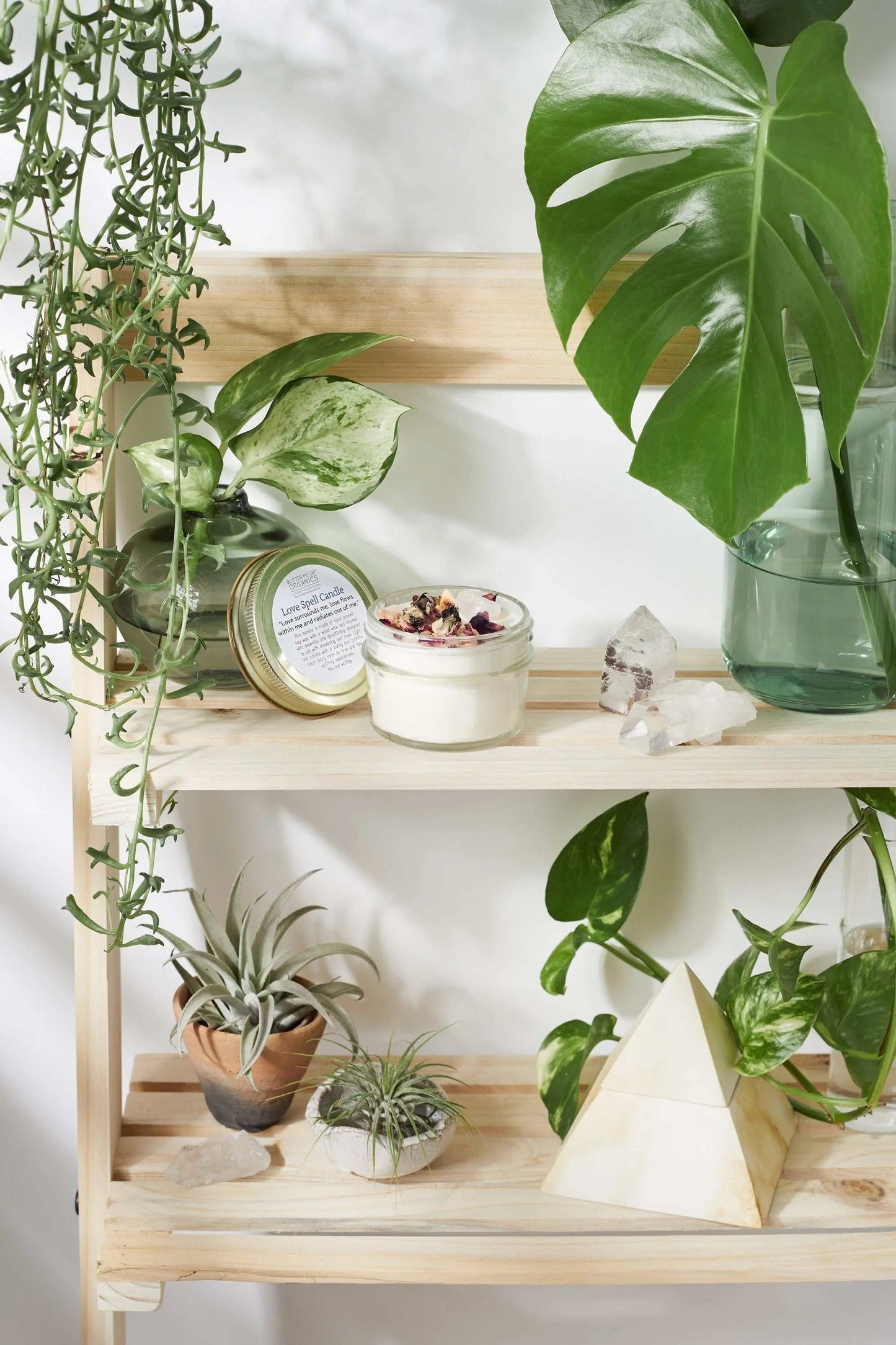 Love spell candle in glass jar with wood wick, rose petals, pink salt, and rose quartz crystal displayed on wooden shelf with green plants nearby