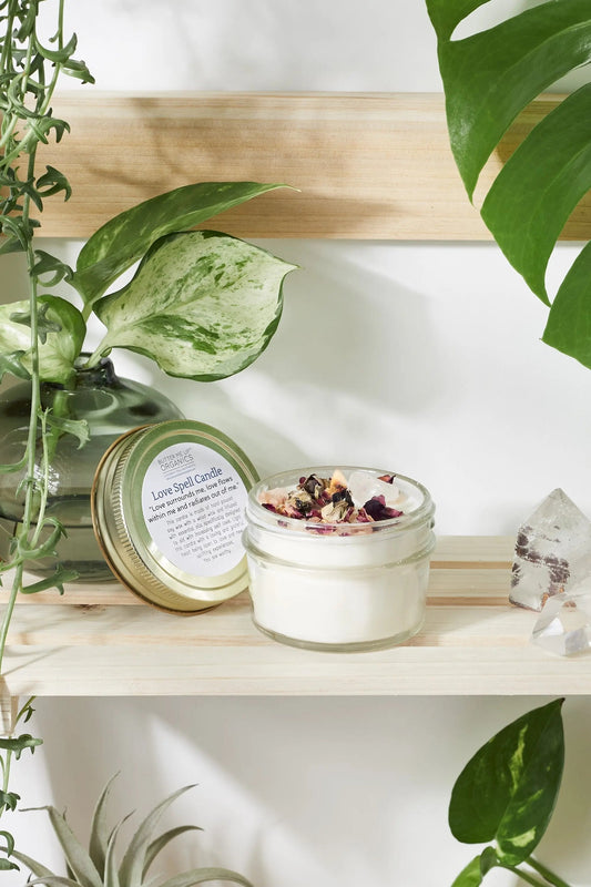 Love spell candle in glass jar with rose petals, wood wick, and rose quartz crystal on wooden shelf surrounded by green plants