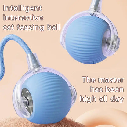 Electric Cat Ball Toys Automatic Rolling Ball Faux Tail Rechargeable AliExpress