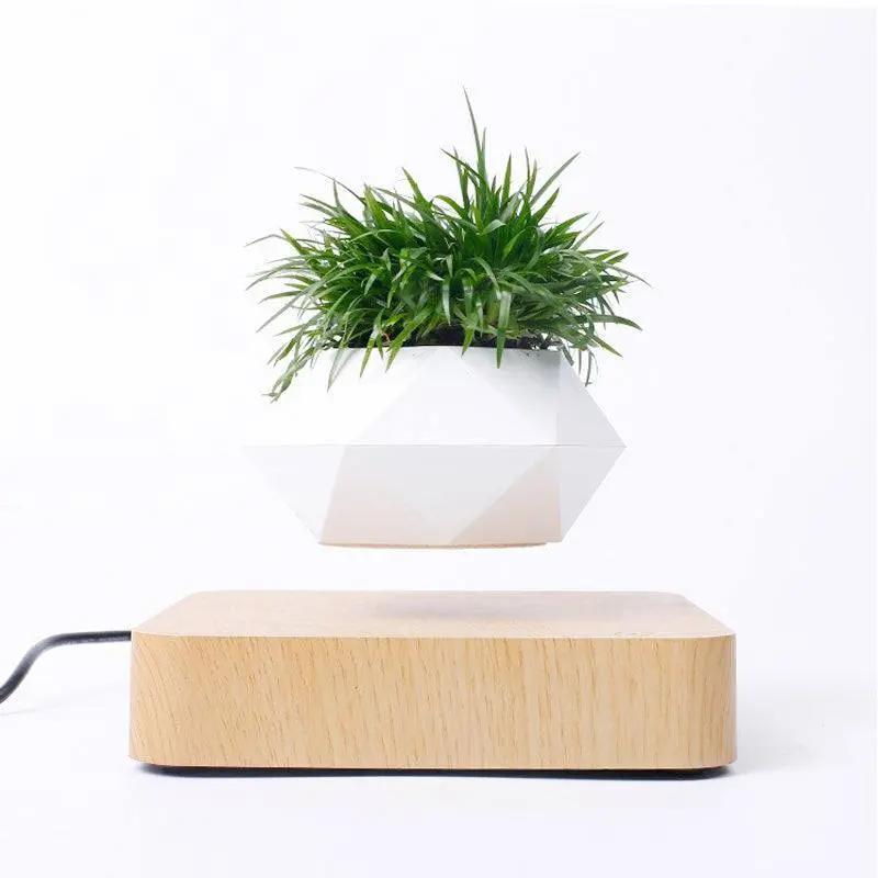 Magnetic levitating rotation flowerpot floating above wooden base with green plant