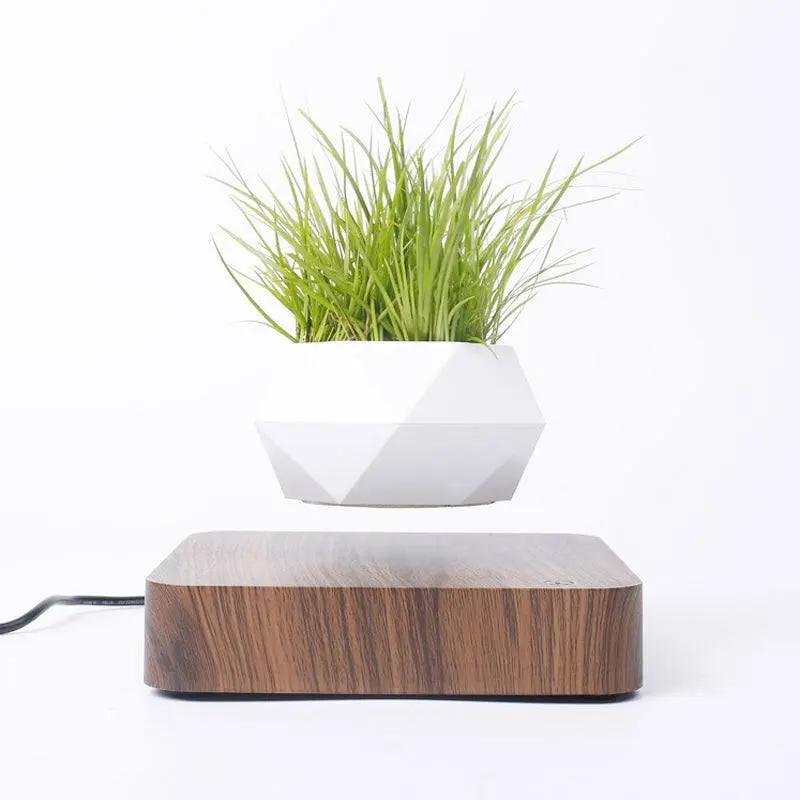 Levitating rotation flowerpot with wooden base and floating white geometric planter pot