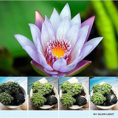 Glow Face 3-in-1 photo lens and fill lighting clip with muted LED light for glowing selfies in glowing pink color